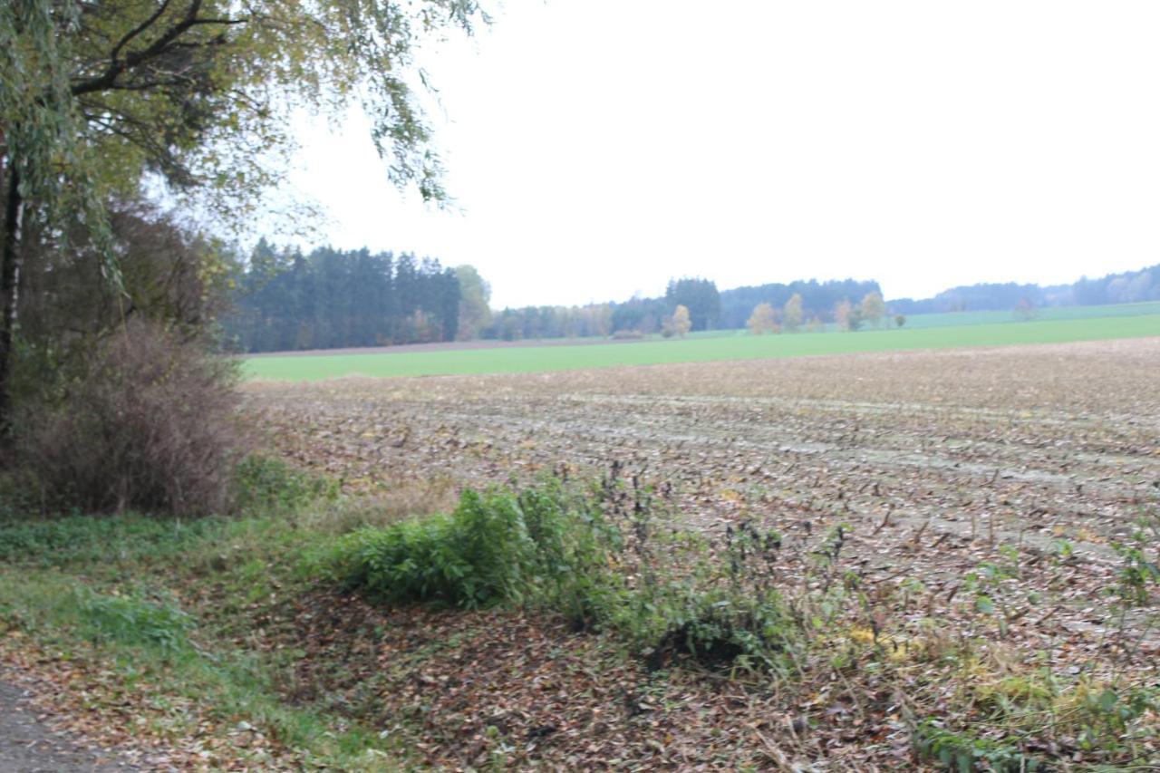 Zumseehoernchen Haus Schmetterling Tanna Exteriör bild